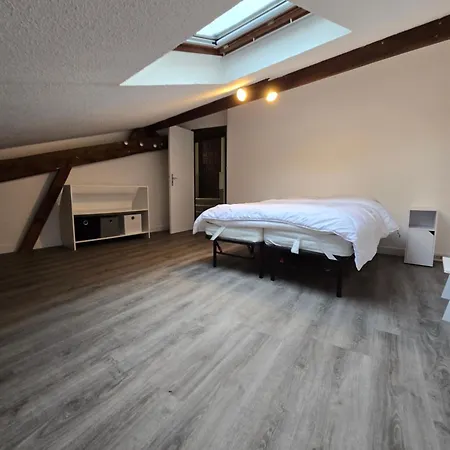 Grand T3 Wifi 2 82m2 Centre Stationnement Devant Le フォワ