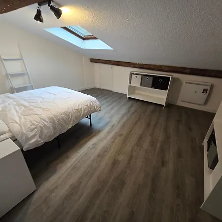 Grand T3 Wifi 2 82m2 Centre Stationnement Devant Le アパート